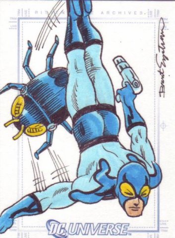 engstrombluebeetle.jpg