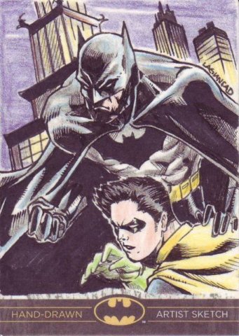 lagunsadbatmanandrobin.jpg