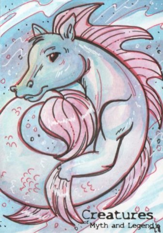cmlbellamyhippocampus.jpg
