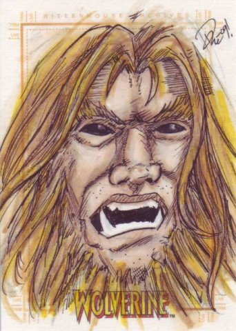 wolverineaultsabretooth.jpg